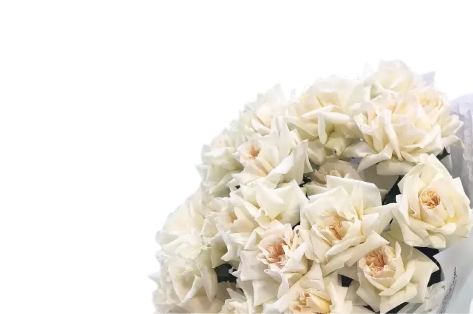 Французские розы